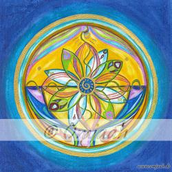 C049 - Wasserschutz der Wasserquelle 