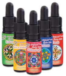 K023 Set 1 - harmonisierende Intelligenz der Natur 